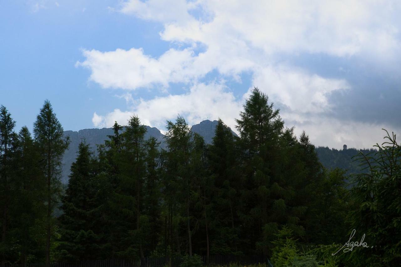 Apartament Krolewski Superior Z Sauna Zakopane Eksteriør bilde