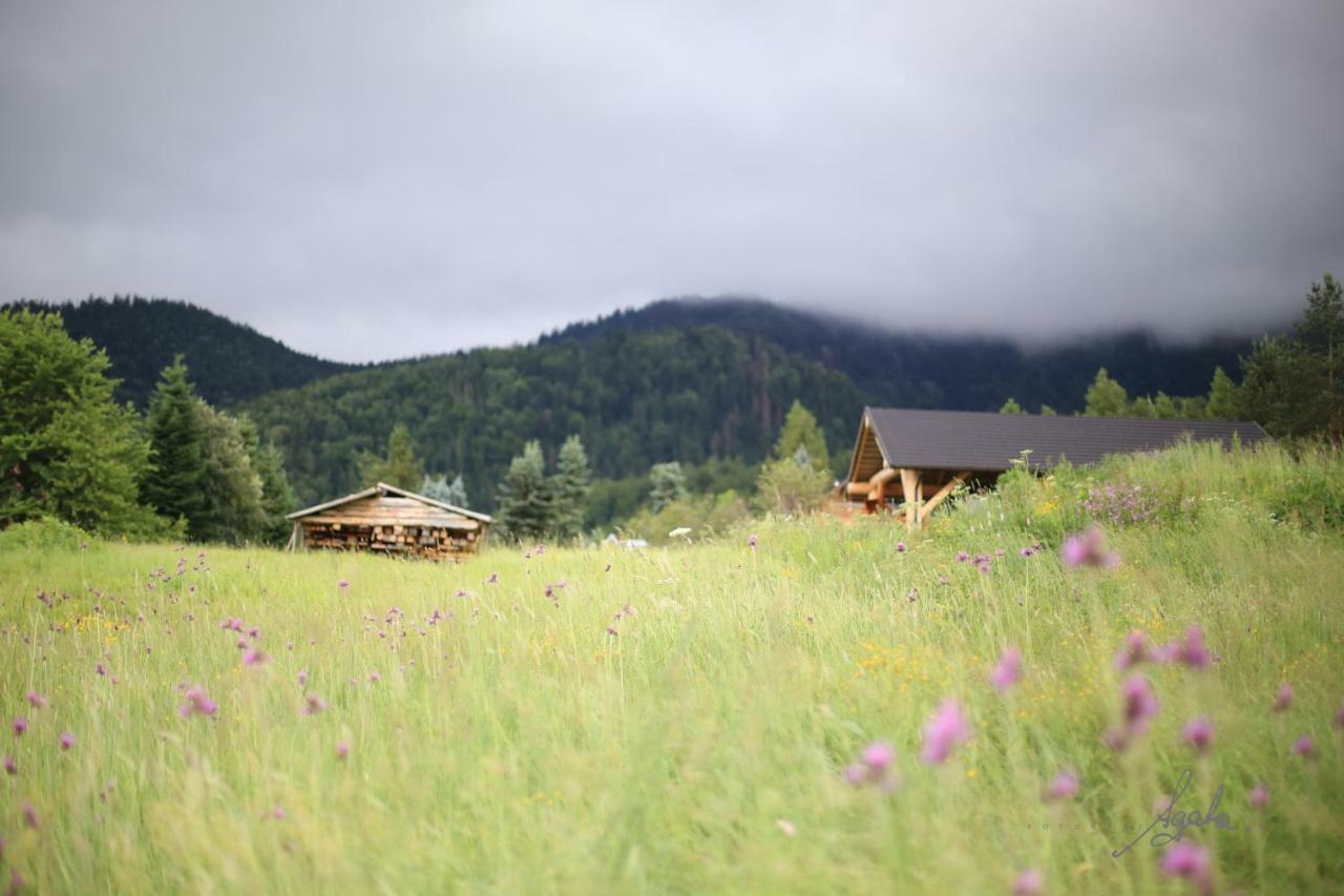 Apartament Krolewski Superior Z Sauna Zakopane Eksteriør bilde